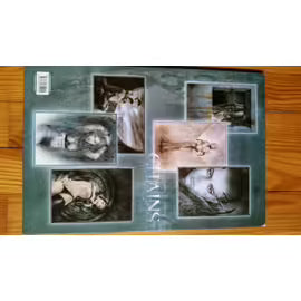 Royo Navarro, L: Portafolio Chains