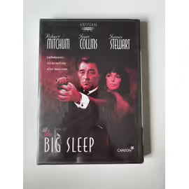 Big Sleep ()