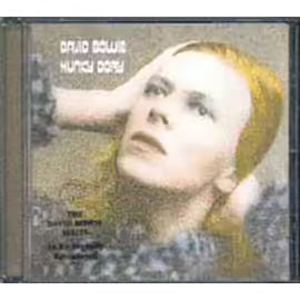 Hunky Dory