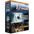 Shark