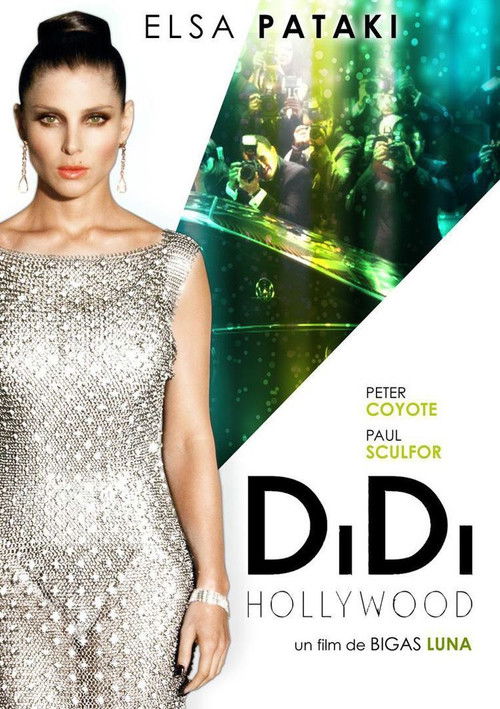 Didi Hollywood