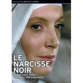 Le Narcisse Noir -