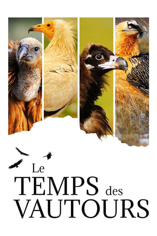Le Temps Des Vautours