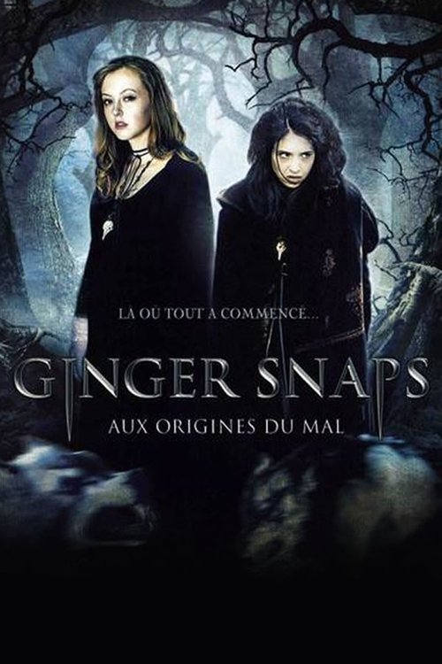 Ginger Snaps