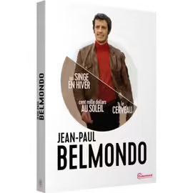 Jean-Paul Belmondo : Un Singe En Hiver