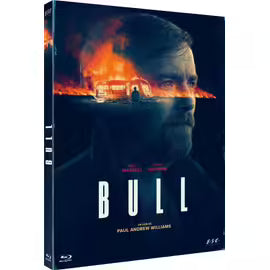 Bull -