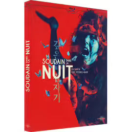 Soudain Dans La Nuit -