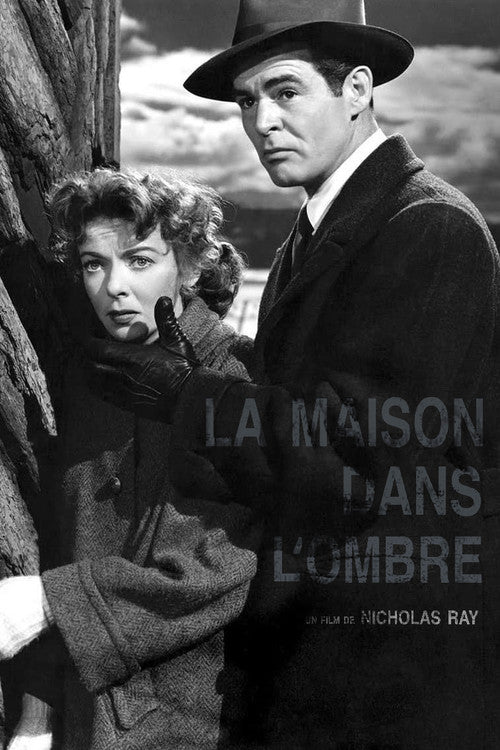 La Maison Dans L'ombre