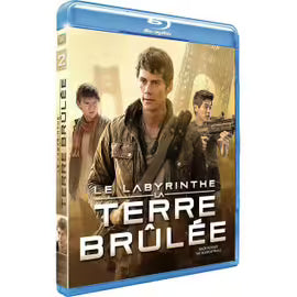 Le Labyrinthe : La Terre Brûlée -