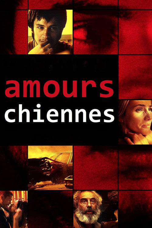 Amours Chiennes