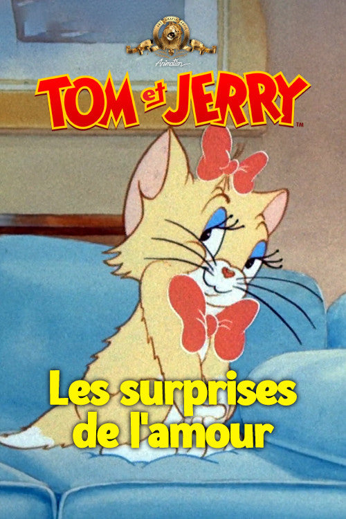 Les Surprises De L'amour