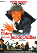Un Chien Dans Un Jeu De Quilles