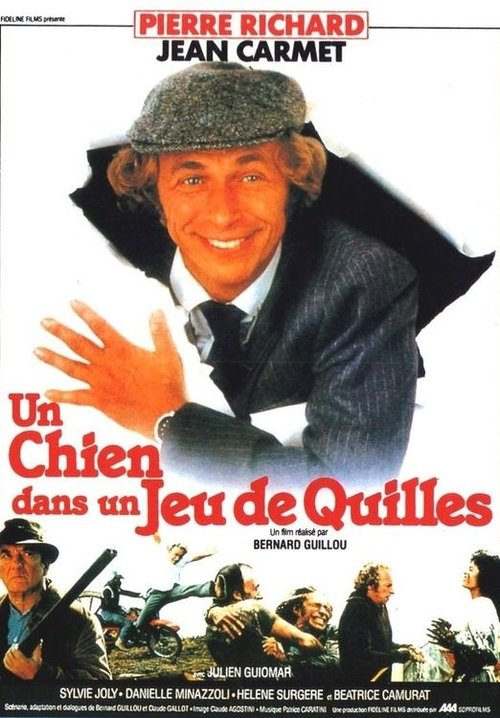Un Chien Dans Un Jeu De Quilles
