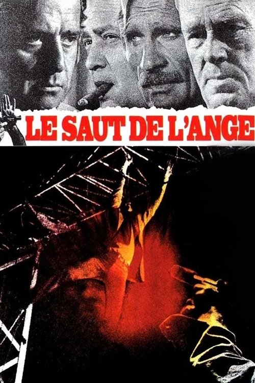 Le Saut De L'ange