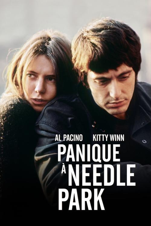 Panique À Needle Park