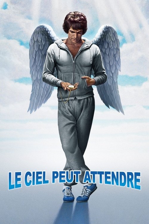 Le Ciel Peut Attendre