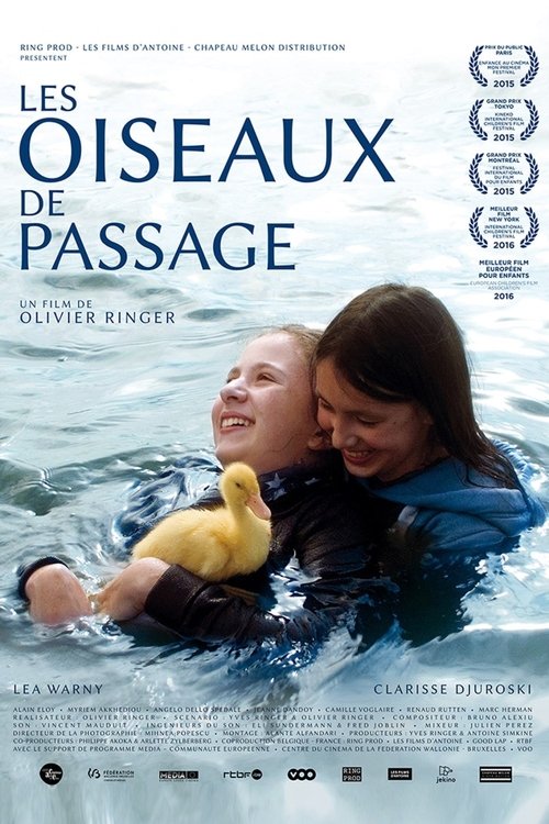 Les Oiseaux De Passage