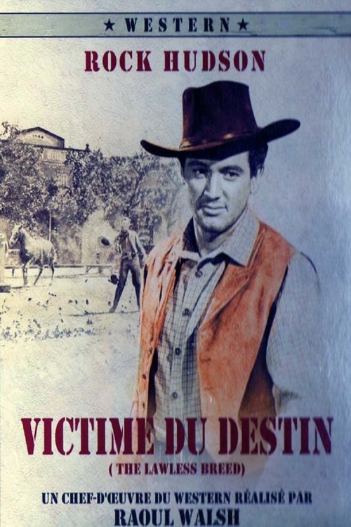 Victime Du Destin