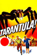 Tarantule