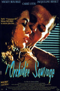 L'orchidée Sauvage