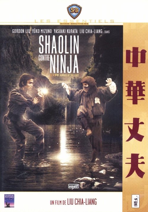 Shaolin Contre Ninja