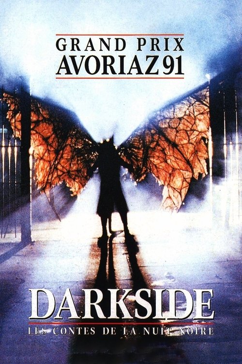 Les Contes De La Nuit Noire